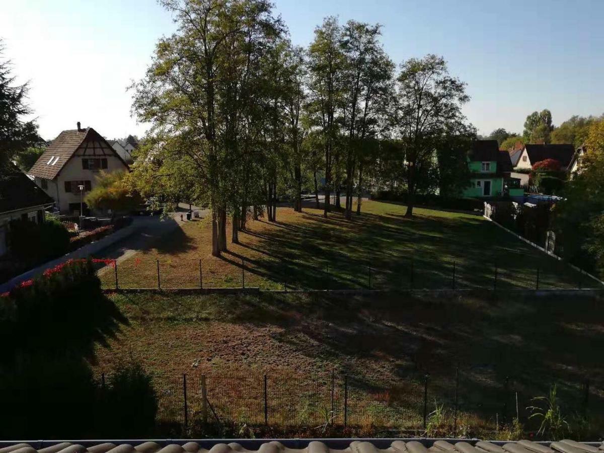 Appart Les Cerises Entre Strasbourg Et Haguenau Bischwiller Buitenkant foto