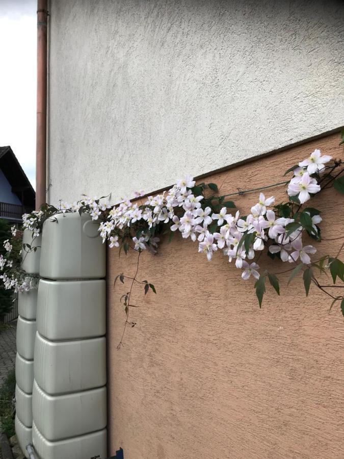 Appart Les Cerises Entre Strasbourg Et Haguenau Bischwiller Buitenkant foto